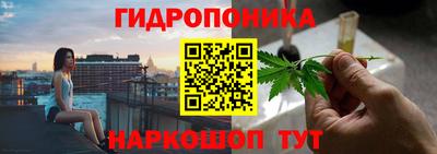 ПСИЛОЦИБИНОВЫЕ ГРИБЫ Новоалександровск