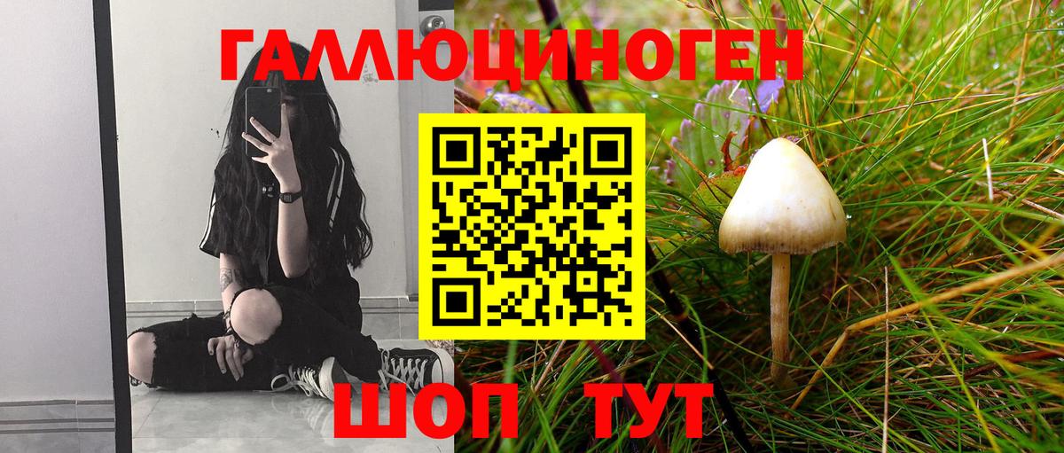 ГАШИШ  Амфетамин   COCAIN  Каннабис  Альфа ПВП СОЛЬ   ГАШИШ  Меф МЯУ МЯУ   Киров  Вход с VPN 
