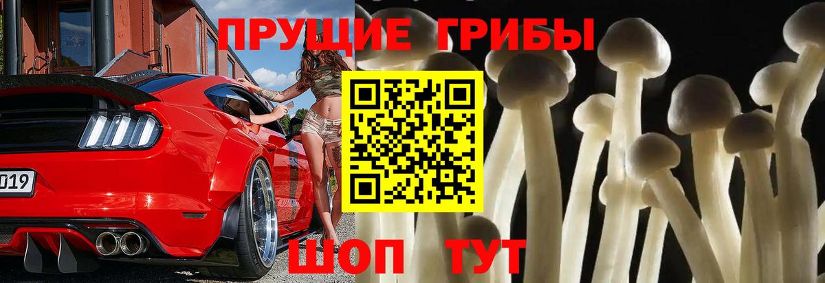 Псилоцибиновые грибы ЛСД  Галлюциногенные грибы ЛСД  Киров  Вход с VPN 